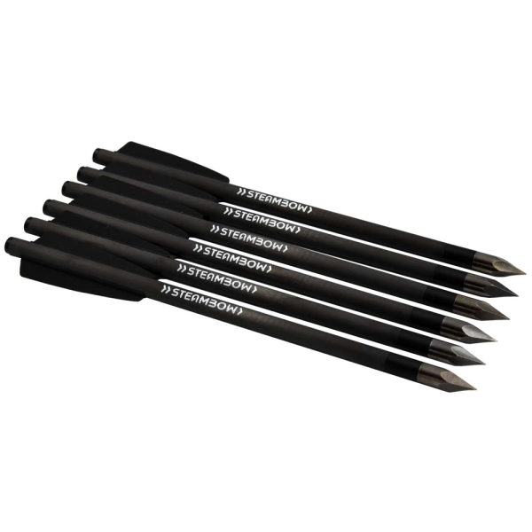 Steambow Stinger AR-Series – leichte Carbon-Bodkinpfeile – Set aus 6 Stk.